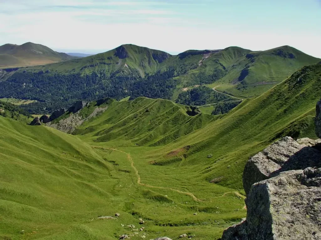 Vue estivale des pâturages verdoyants du Massif du Sancy