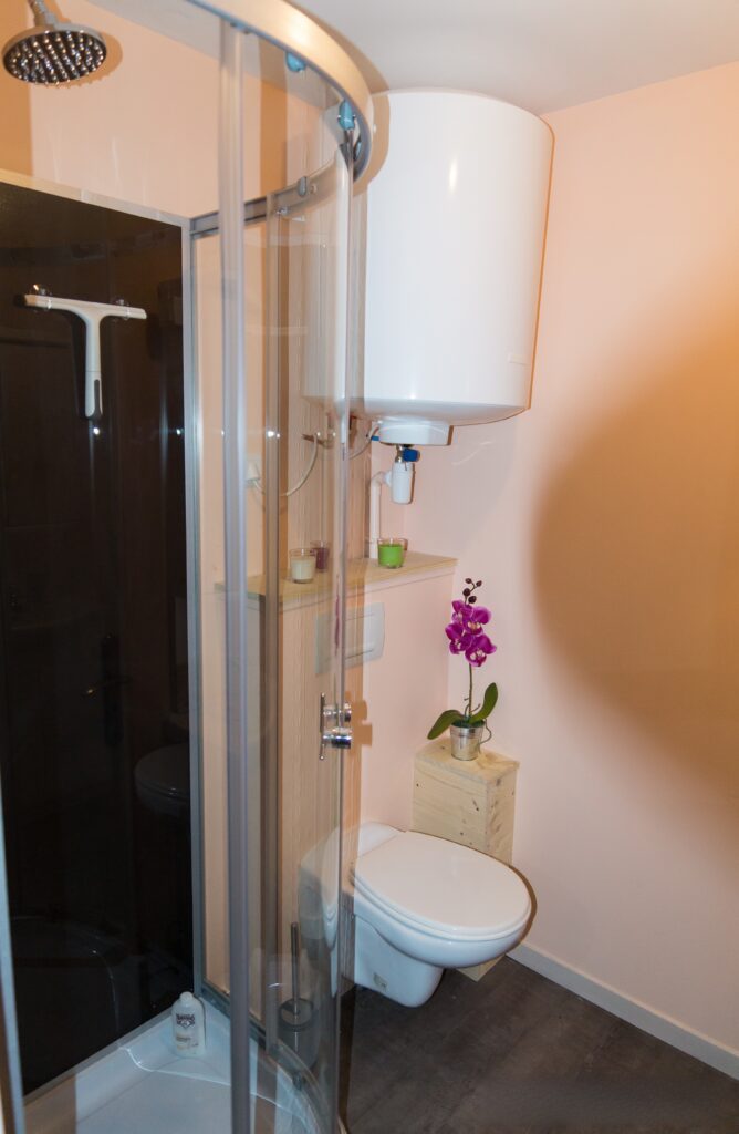Salle d'eau de l'appartement Le 1886 avec douche à l'italienne et WC